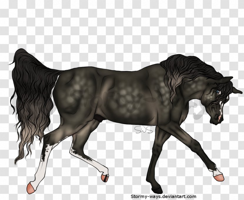 Mustang Stallion Mare Foal Colt - Pony - Has Been Sold Transparent PNG