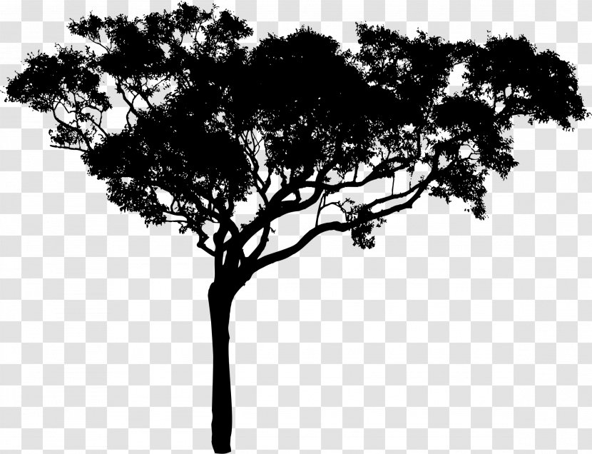 Tree Silhouette Branch Clip Art - Black And White - Vector Transparent PNG