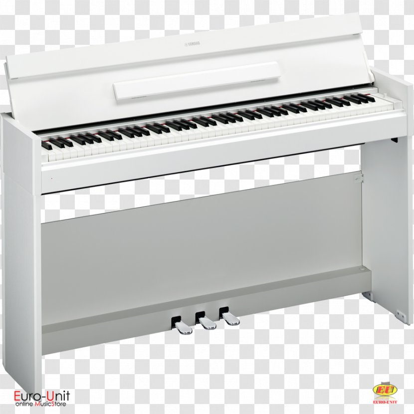 Yamaha P-115 Arius YDP-S52 Corporation Digital Piano YDP-143 - Watercolor Transparent PNG