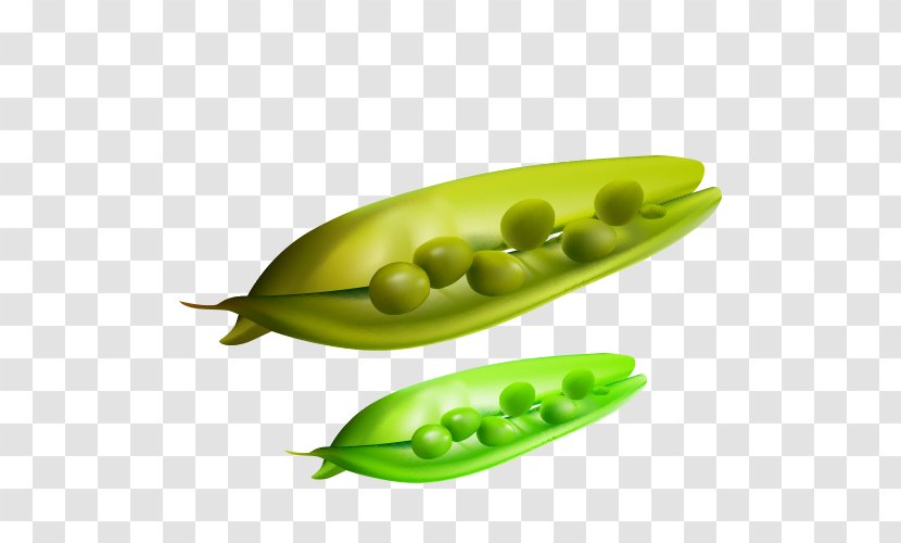 Snow Pea Field Clip Art - Lima Bean - Cartoon Peas Transparent PNG