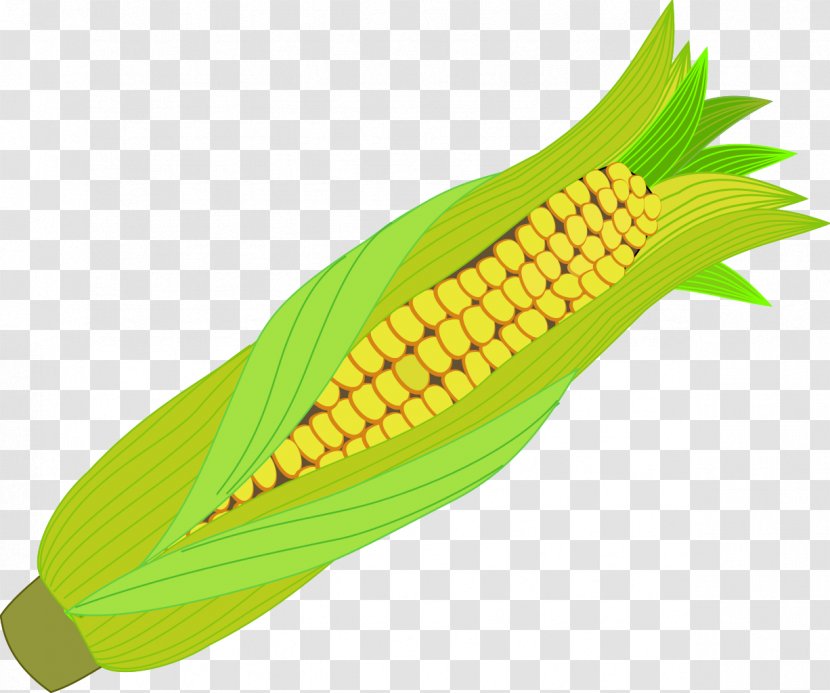 Maize Corn On The Cob Food - Zea Transparent PNG