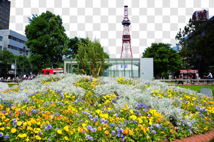 Odori Park Beihai Landscape Painting - Meadow - Hokkaido Transparent PNG