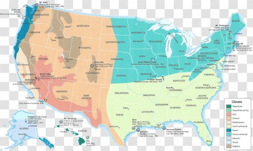 United States Linguistic Map Atlas Language - Ecosystem - Subtropical Transparent PNG
