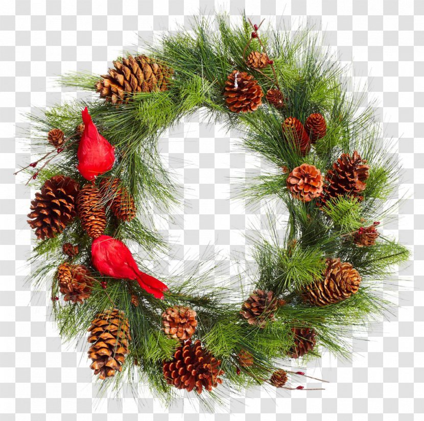 Real Christmas Pinecone Grass Ring - Holiday - Ornament Transparent PNG