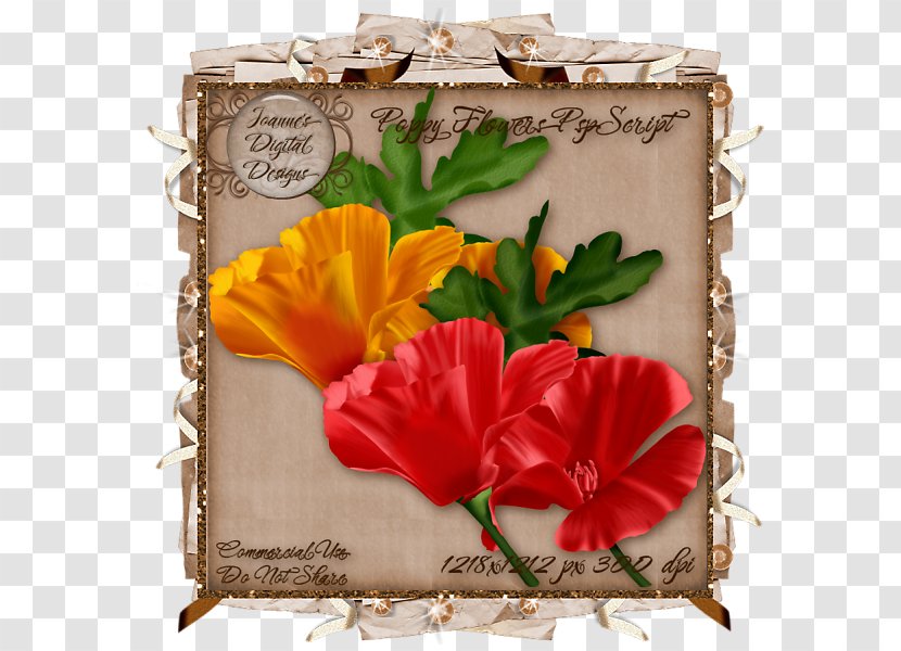 Rosemallows Santa Claus Floral Design Picture Frames - Malvales Transparent PNG