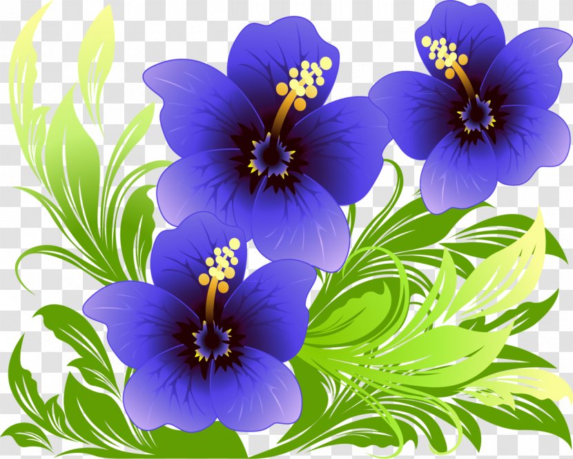 Flower Purple Poster - Mallow Family - Spring Flowers Transparent PNG