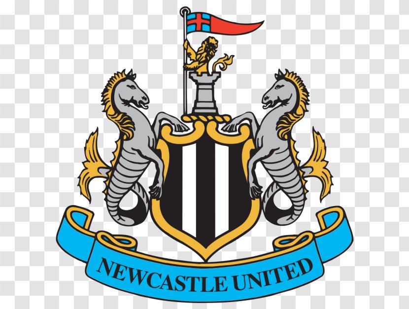 Newcastle United F.C. Premier League St James' Park East End EFL Cup - Preston North Fc Transparent PNG