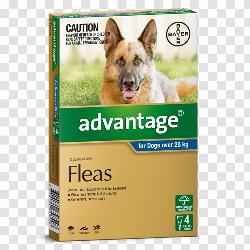 Dog Flea Treatments Puppy Pet Veterinarian - Food Transparent PNG