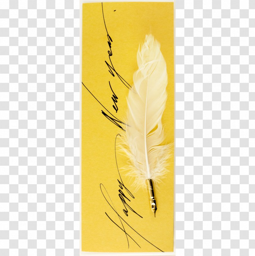 Paper Pen Stationery Poster - Quill Transparent PNG
