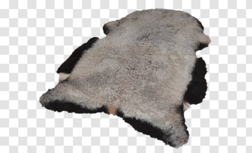 Snout Fur - Textile - Jorge Ferrarihardoy Transparent PNG