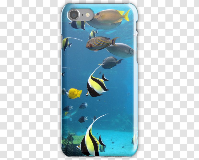 Coral Reef Fish Marine Biology Ecosystem Underwater Mammal - Skin Transparent PNG