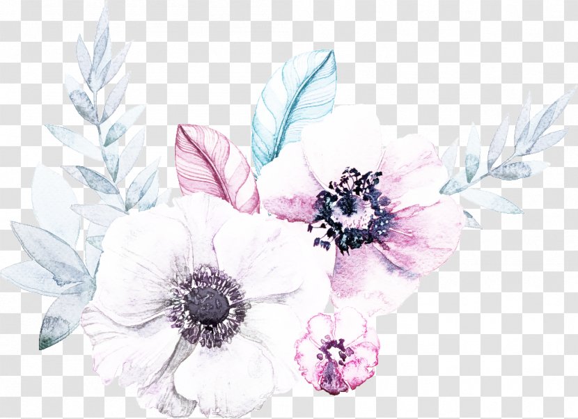Feather - Flower - Wildflower Transparent PNG