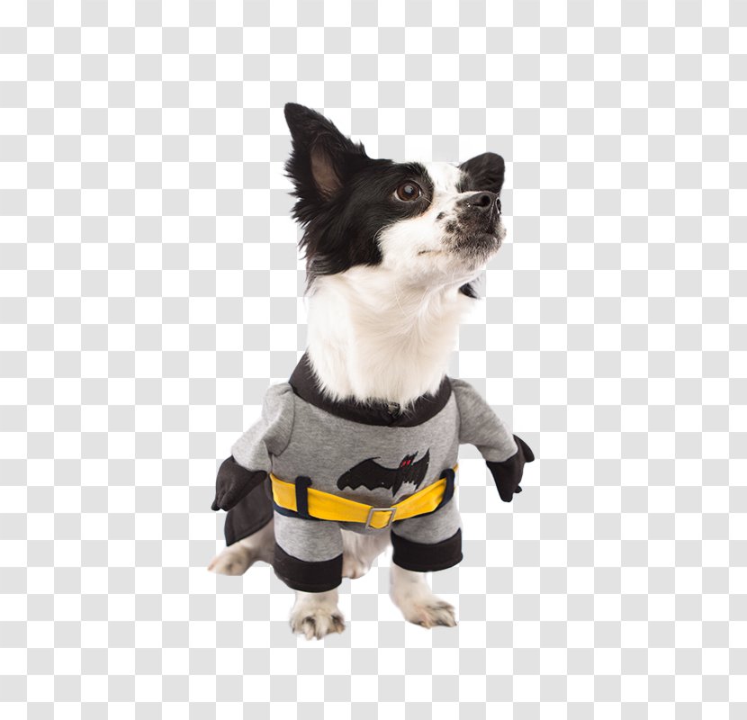 Dog Breed Batman Puppy Chihuahua Companion - Costume - One Legged Transparent PNG