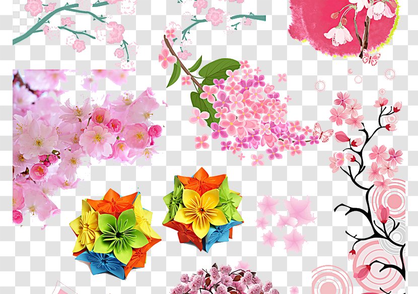 National Cherry Blossom Festival Paper - Flowering Plant - Pattern Transparent PNG