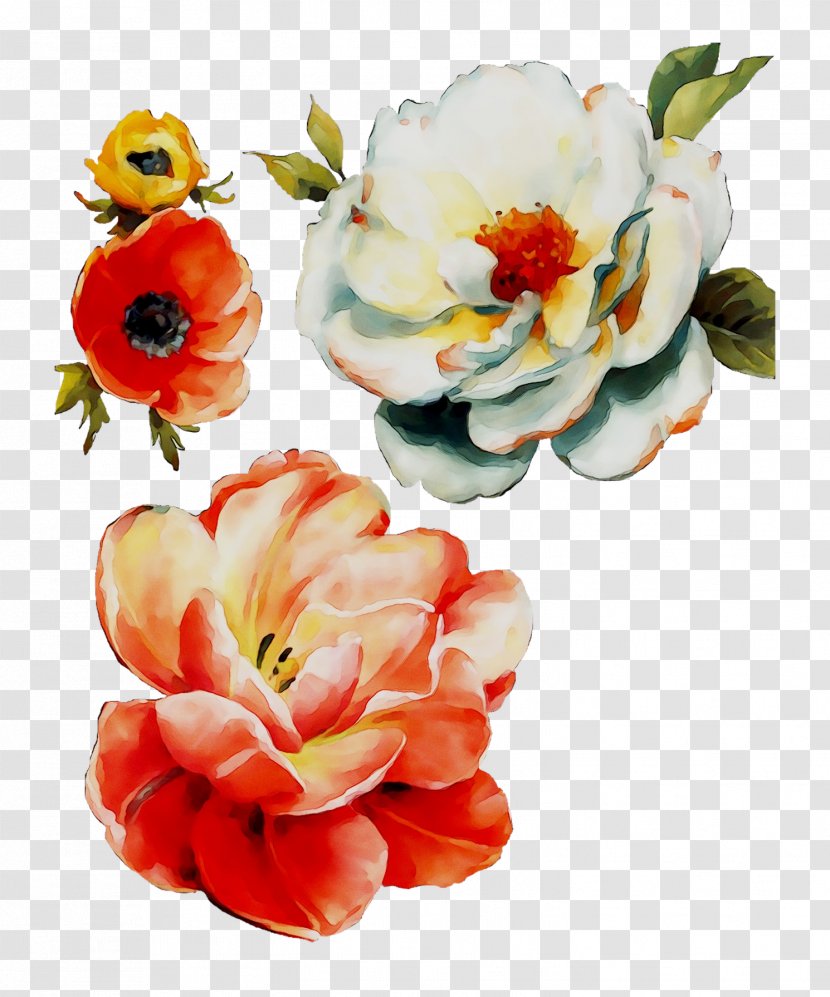 Cut Flowers Floral Design Flowering Plant - Herbaceous - Ceramic Transparent PNG