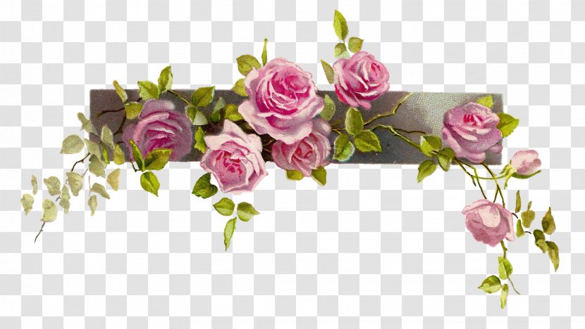 Pink Flowers Rose Clip Art - Floral Design - Flowery Border Cliparts Transparent PNG