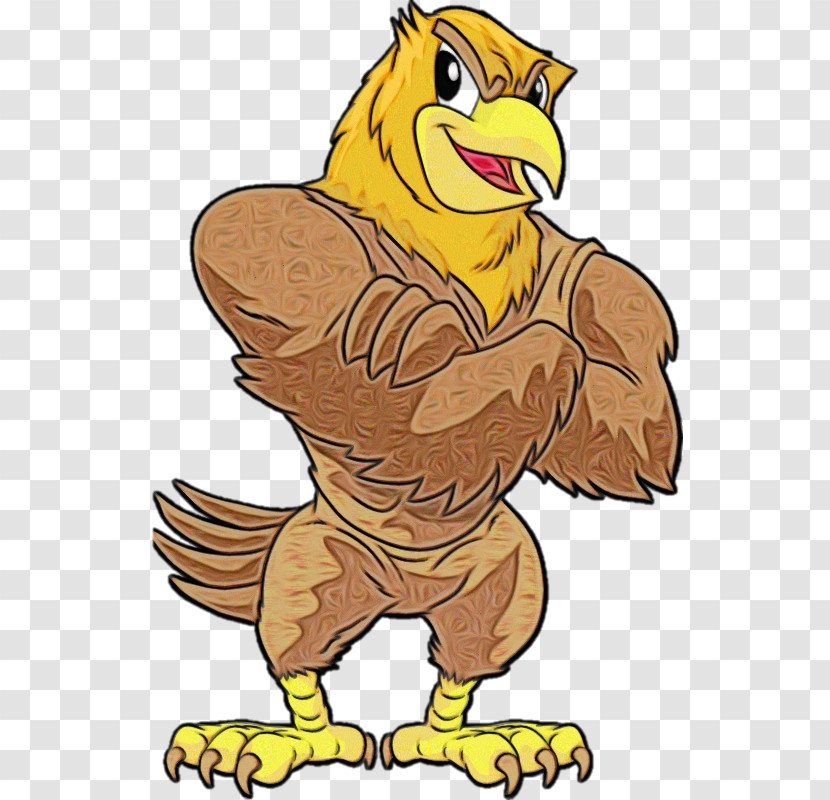 Cartoon Bird Eagle Beak Hawk Transparent PNG
