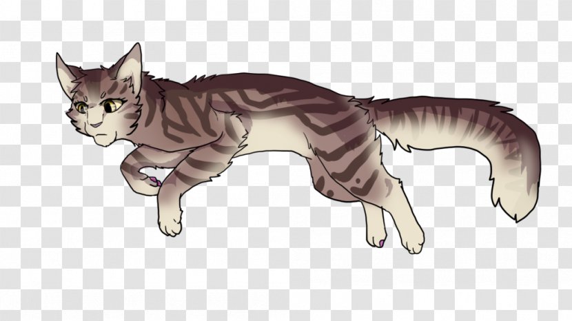 Whiskers Kitten Wildcat Felidae - Wild Cat Transparent PNG