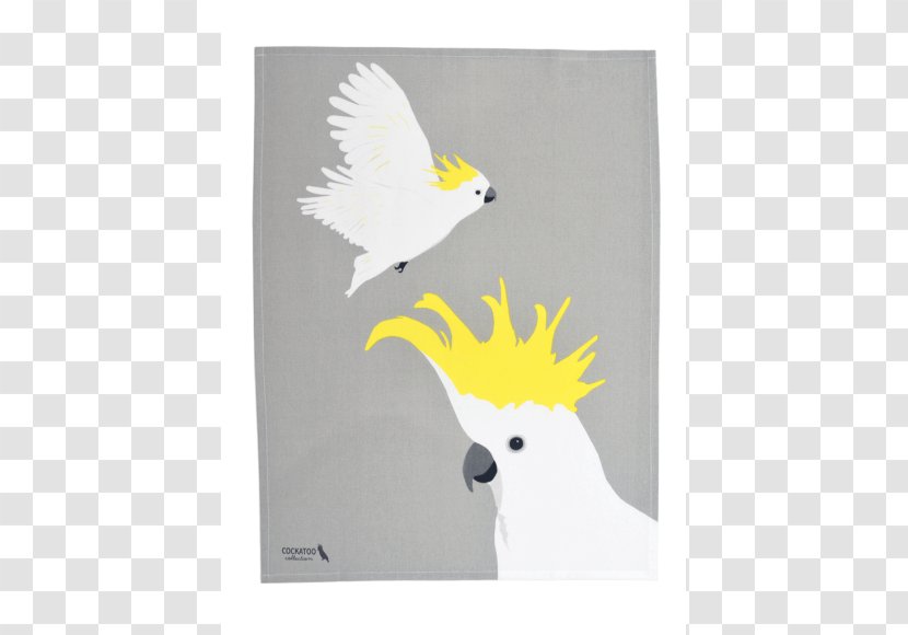 Towel Australia Cockatoo Gift Bird Transparent PNG