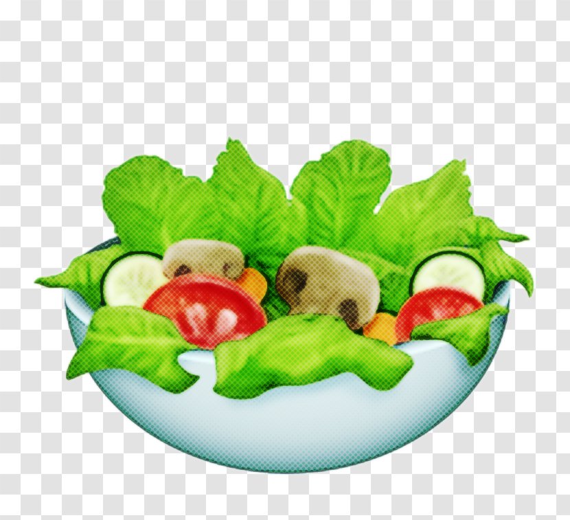 Plant Leaf - Vegetarian Food - Greek Iceburg Lettuce Transparent PNG