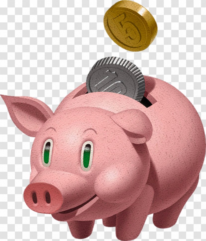 Domestic Pig Piggy Bank - Nose - Pink Transparent PNG