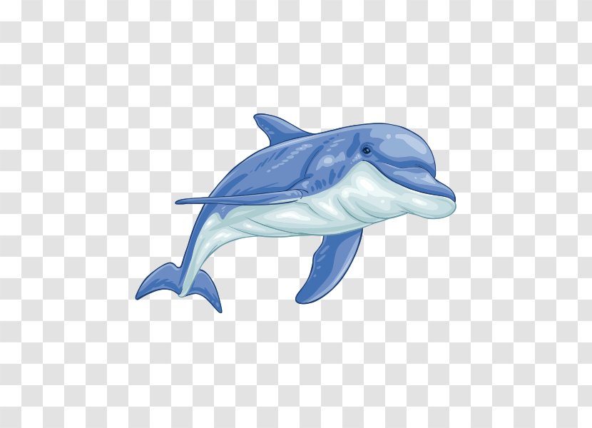 Whale Cartoon - Phonograph Record - Blue Roughtoothed Dolphin Transparent PNG