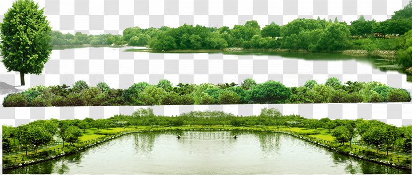 Download Computer File - Landscape - Green Forest Transparent PNG