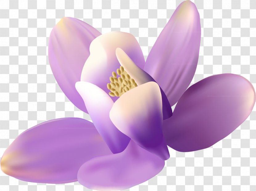Flower Preview Clip Art - Lilac Transparent PNG