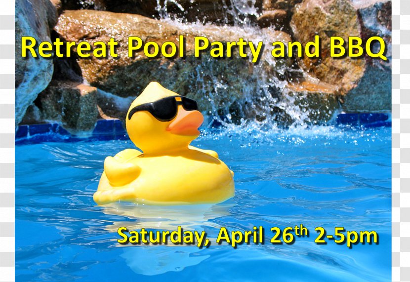 Swimming Pool Party Potluck Infinity - Fauna Transparent PNG