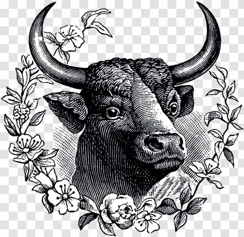Cattle Bull Ox /m/02csf Domestic Yak Transparent PNG