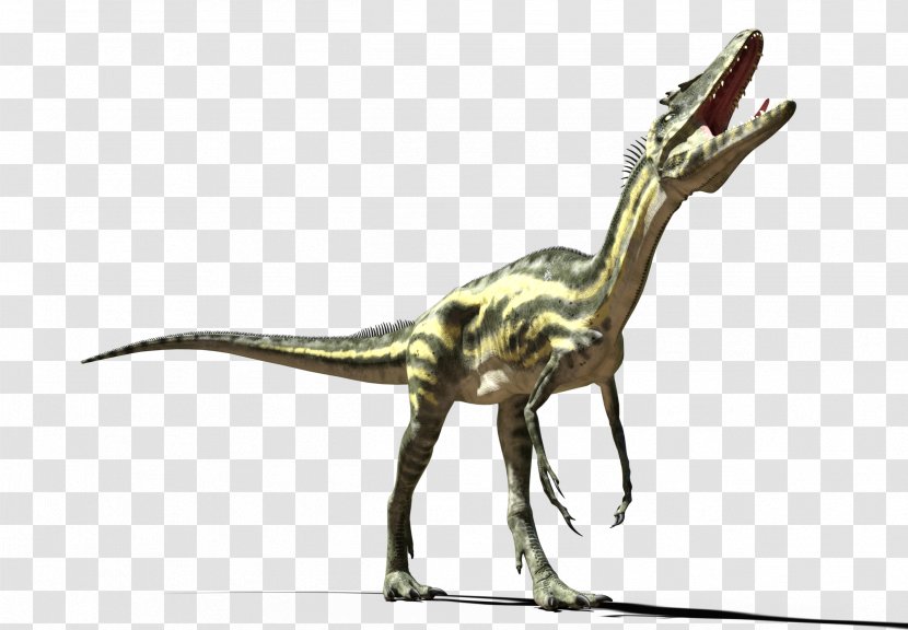 Velociraptor Tyrannosaurus Fauna Extinction Animal - Terrestrial - Ypg Transparent PNG
