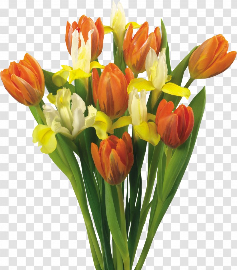 Flower Bouquet Tulip Garden Roses - Rose Transparent PNG