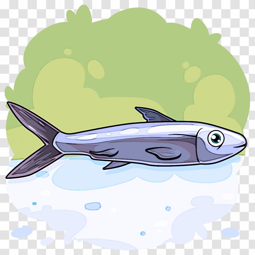Fish Bony-fish - Bonyfish Transparent PNG