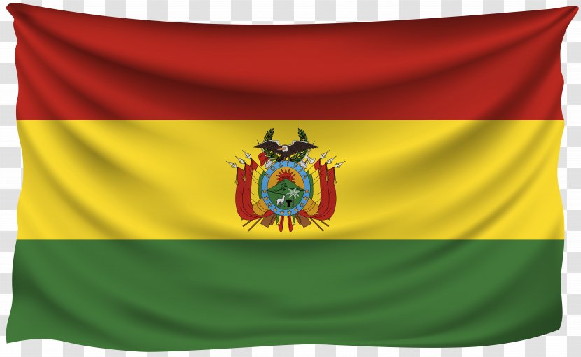 Flag Of Bolivia Flags The World Gallery Sovereign State - Bolivians - Pakistan Transparent PNG