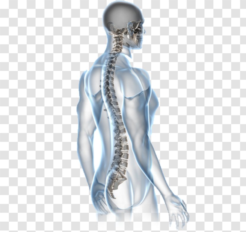 Back Pain Surgery Human Vertebral Column Chiropractic - Heart - Health Transparent PNG