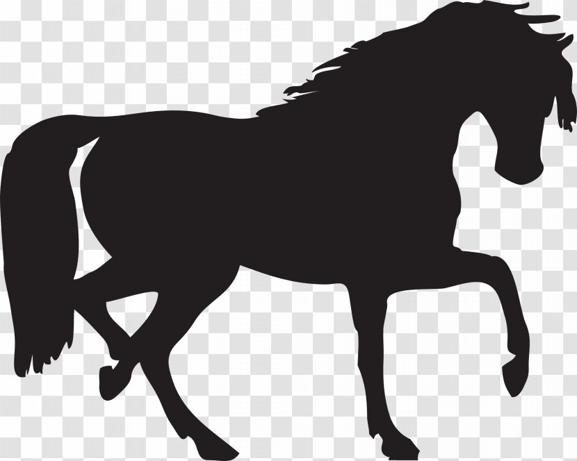 Horse Silhouette Clip Art - English Riding - Black Siluete Image Transparent PNG