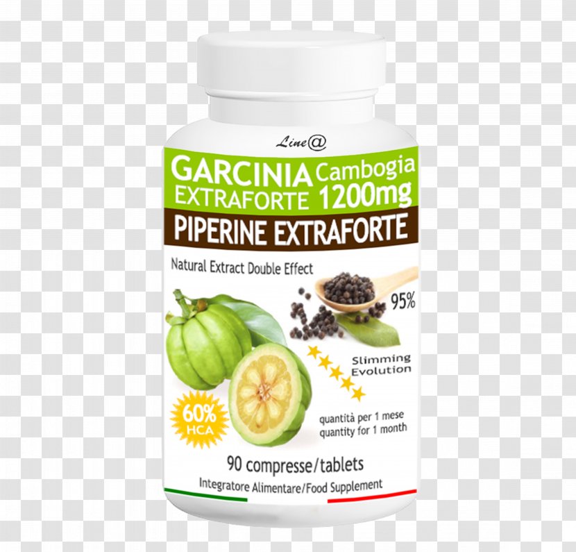 Dietary Supplement Garcinia Cambogia Tablet Piperine Flavor - Superfood - Lost Weight Transparent PNG