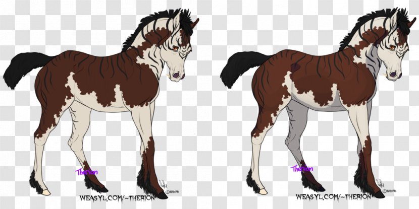 Foal Mustang Stallion Mare Pony - Tail - Tennessee Walking Horse Transparent PNG