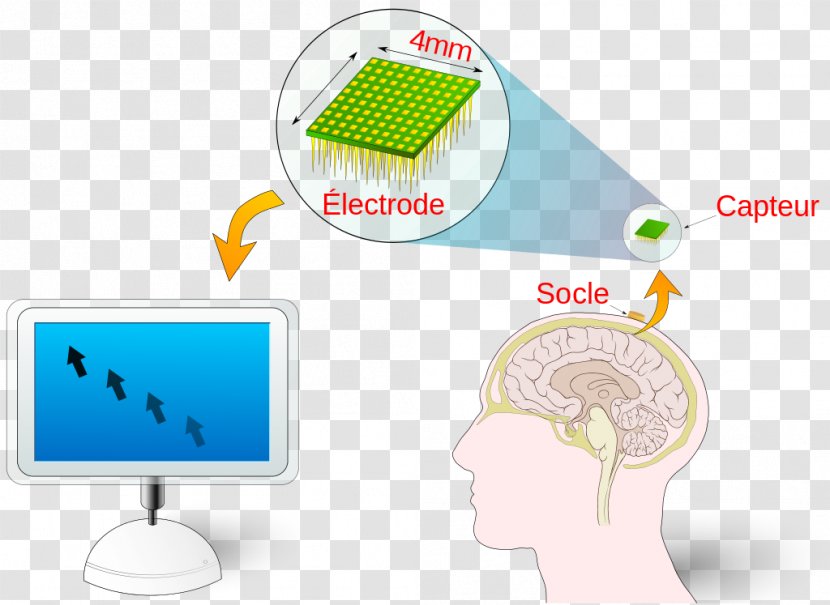 Brain–computer Interface Technology BRLESC - Brain Transparent PNG