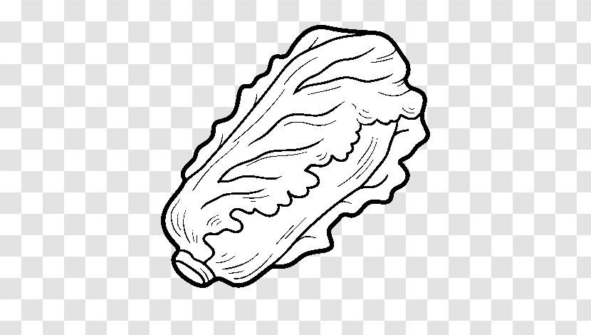 Coloring Book Romaine Lettuce Vegetable Hamburger Drawing - Watercolor - Comida Griega Transparent PNG