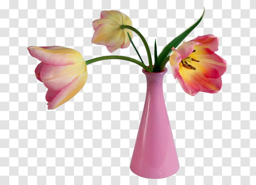 Valentines Day Flower Bouquet Vase Clip Art - Still Life Photography Transparent PNG