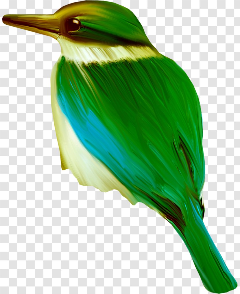 Hummingbird Clip Art - Beak - Bird Transparent PNG