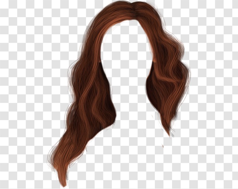 Brown Hair Wig Hairstyle - Human Color - Curly Dress Transparent PNG