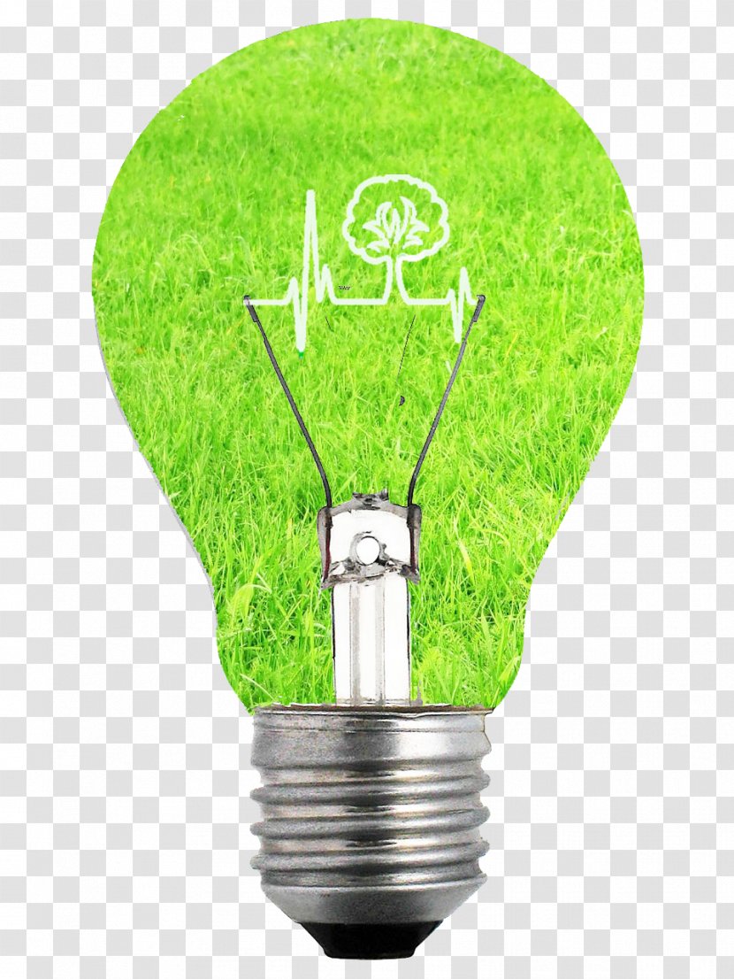 Story Of Your Life La Pierre De Soufre Edison Screw Stories And Others Smart Lighting - Incandescent Light Bulb - Spot Transparent PNG