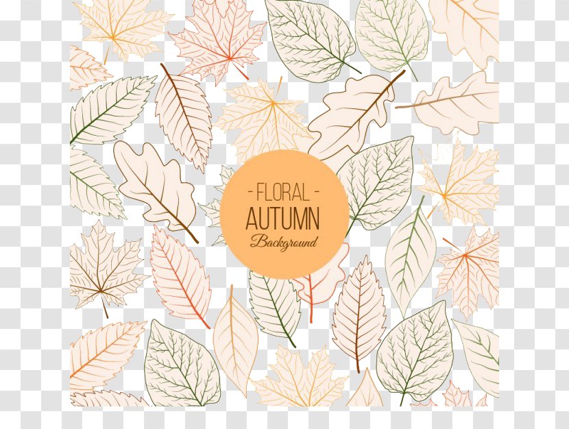 Autumn Leaf Pattern - Text - Leaves Background Transparent PNG