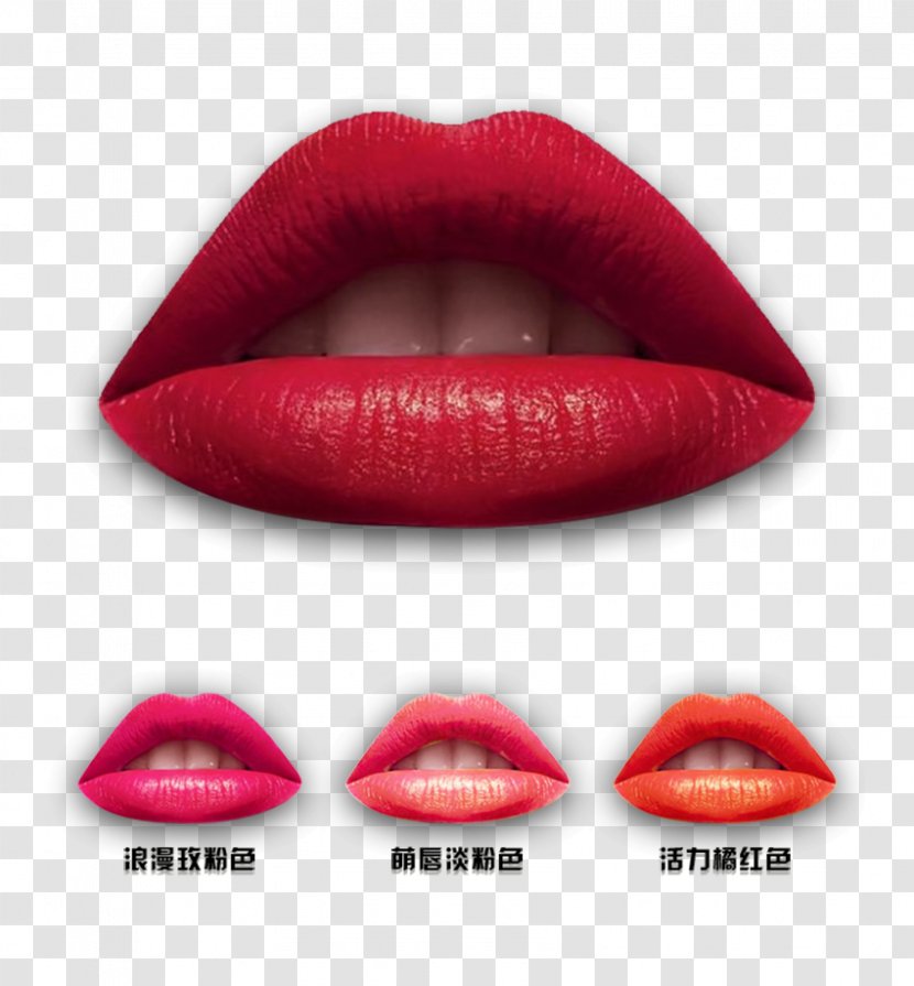 Lipstick Lip Gloss Euclidean Vector - Red - Lips Transparent PNG
