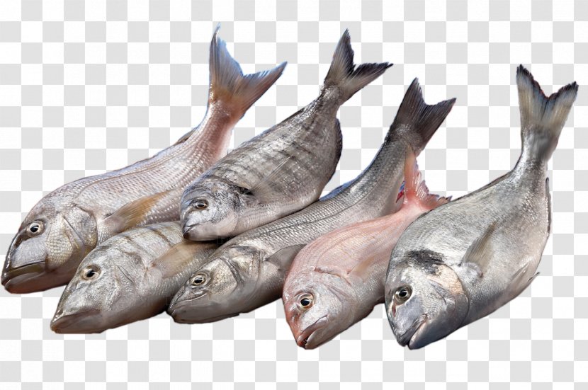 Istanbul Supermarkt Fish Organization - Assortment Strategies Transparent PNG