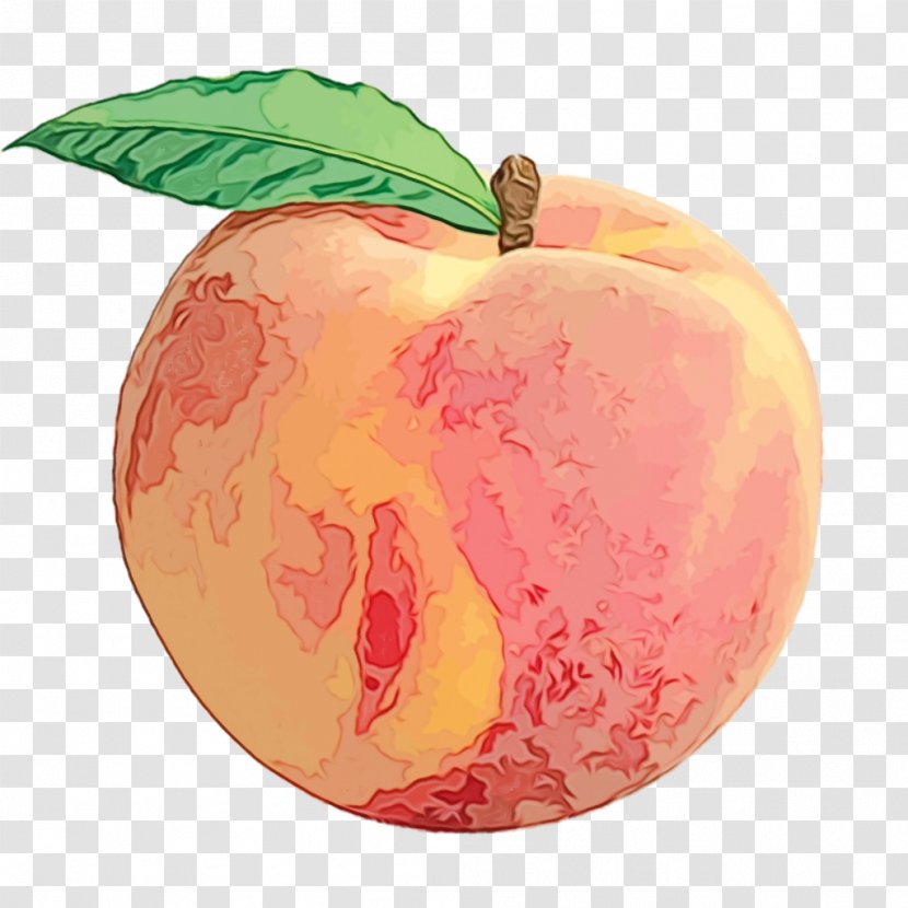 Apple Fruit Clip Art Juice Peach - Superfood Transparent PNG