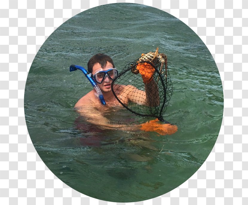 Goggles Vacation - Personal Protective Equipment Transparent PNG