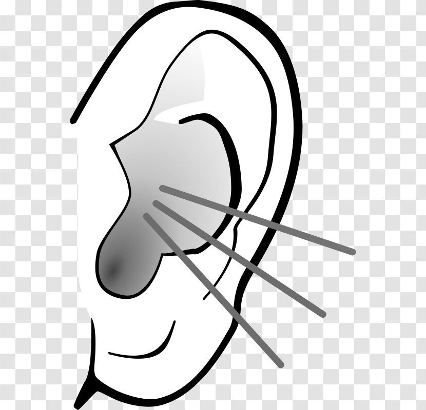 Ear Anatomy Pointy Ears Clip Art - Blog - Pictures Of Listening Transparent PNG